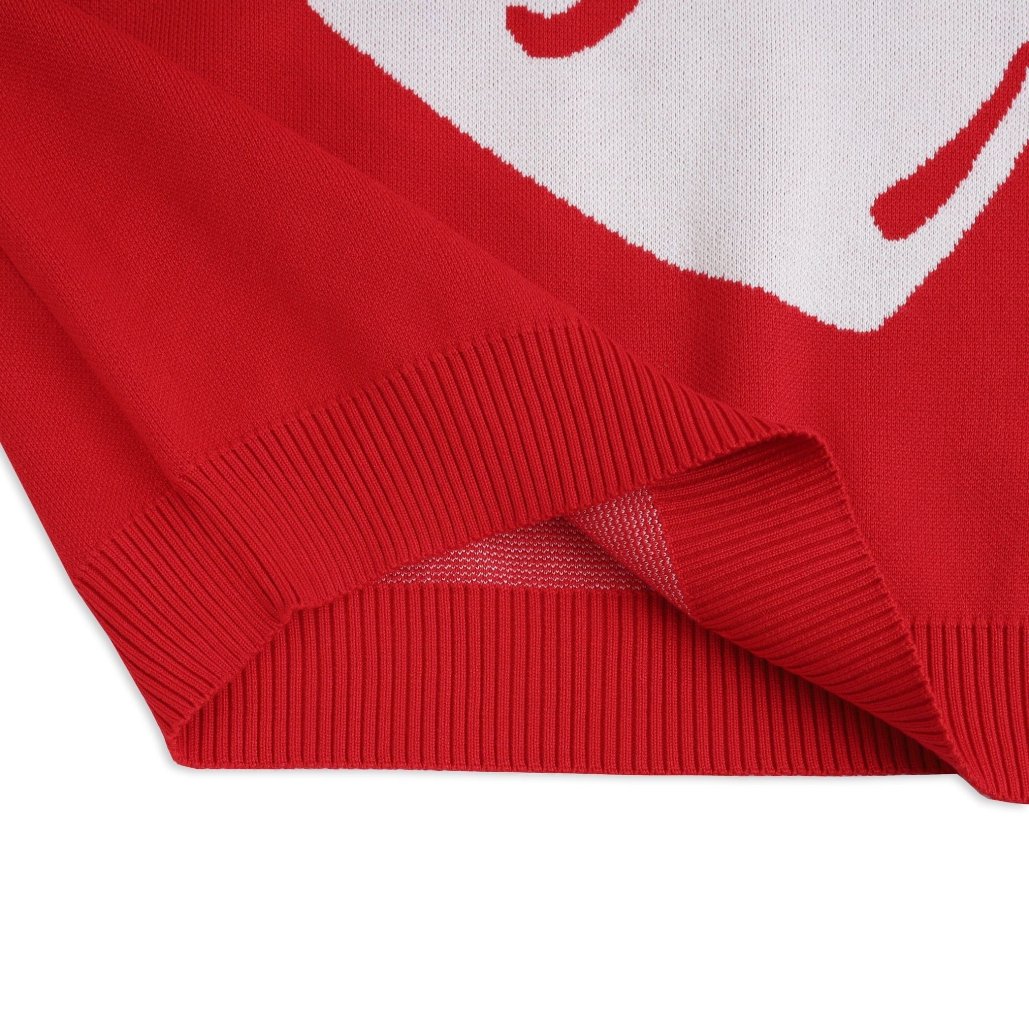 SWE Pinned Love Knit Sweater