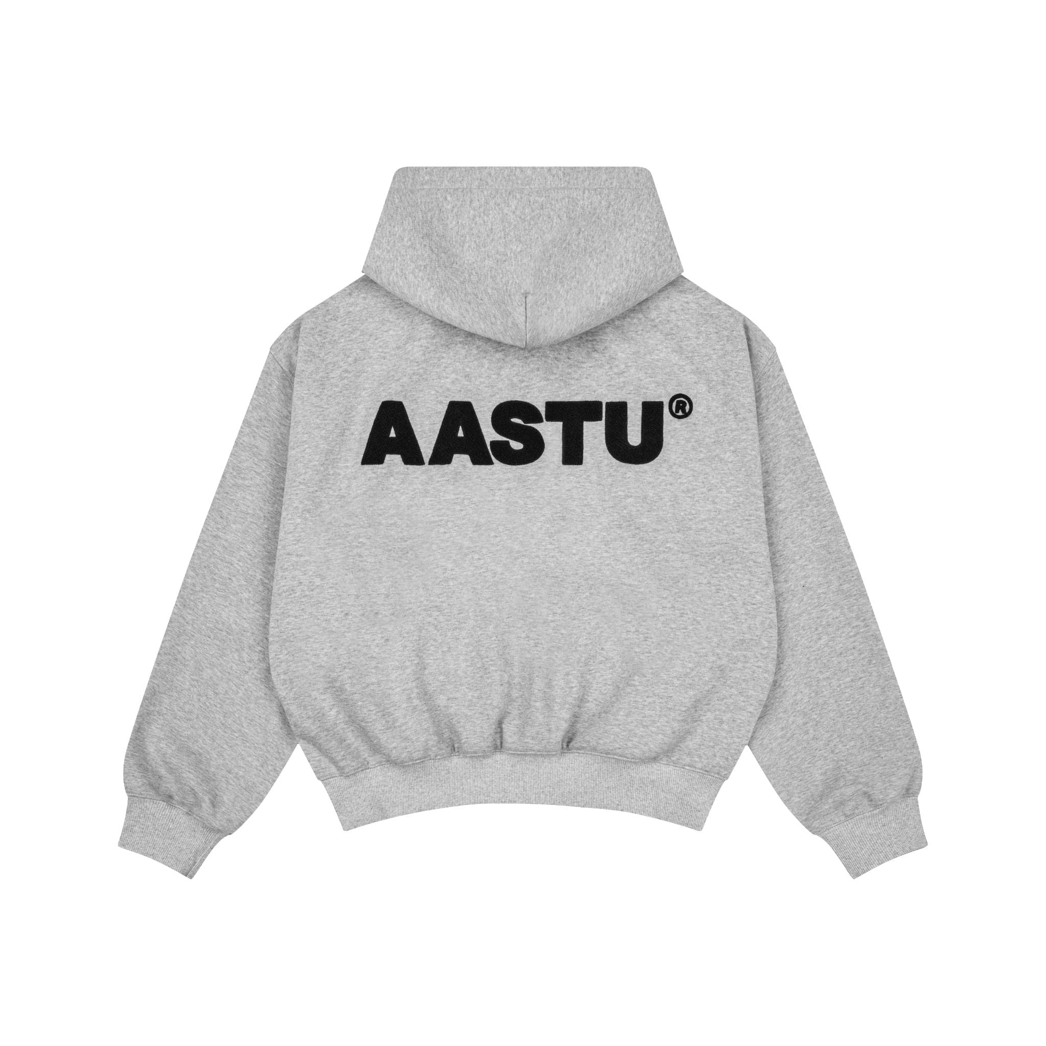 Aastu Logo Hoodie Zip